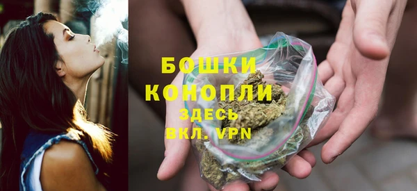 гидропоника Няндома