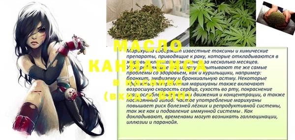 гашик Зуевка