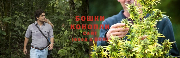 тгк Осташков