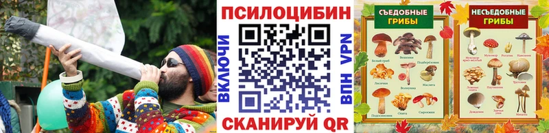 купить наркотики сайты  Заполярный  Псилоцибиновые грибы прущие грибы 